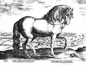 History of Friesians